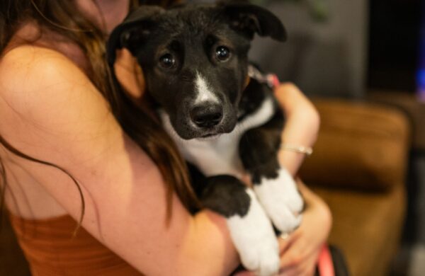 Girl holding her dog at their pet friendly student community